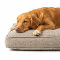 Dog Cushion in Essentials Herdwick Pebble with dog