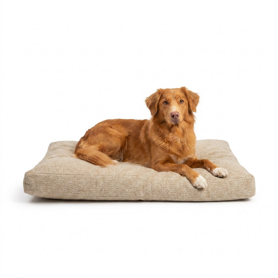 Dog Cushion in Essentials Herdwick Sandstone with dog