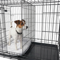 Crate Divider with puppy