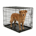 Dog Crate Black with dog