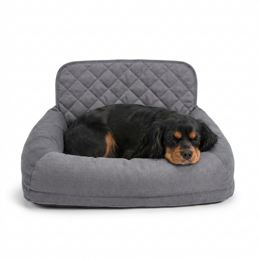 Travel Seat Snoozer with dog