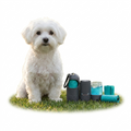 KONG HandiPOD Mini Interchangeable Starter Kit with dog