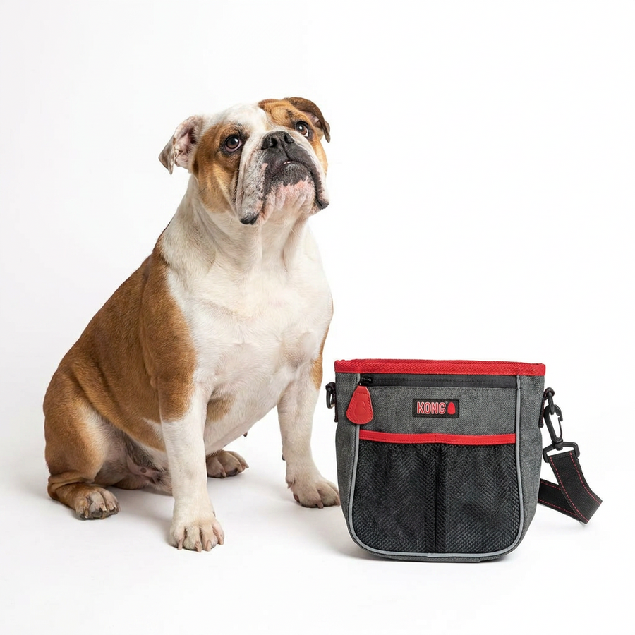 KONG Hiking Bag with dog