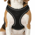 Viva Step-in Harness Black with dog