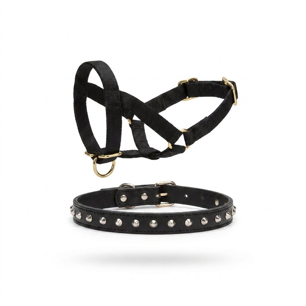 Nylon Training Halter front view