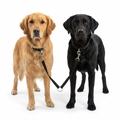 Nylon Coupler Lead with dogs