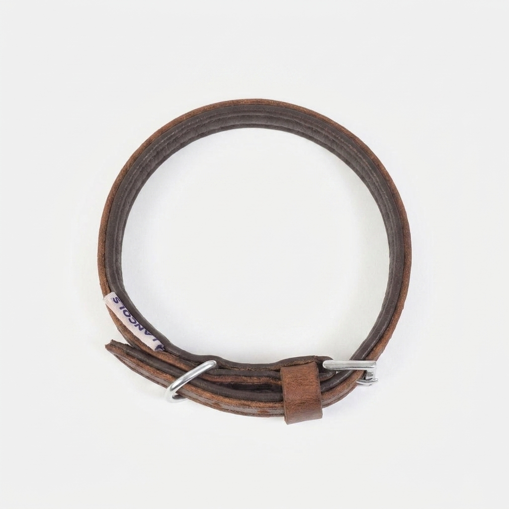 Vintage Leather Padded Collar top-down view