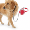 Flexi Lead Comfort Red with dog