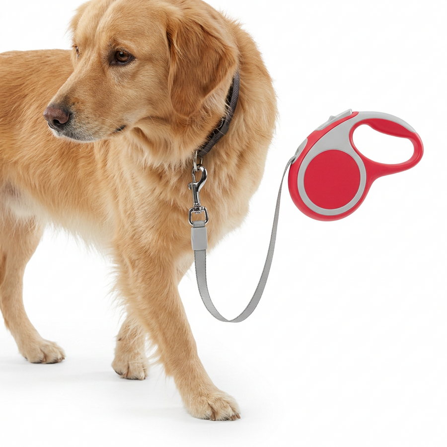 Flexi Lead Comfort Red with dog