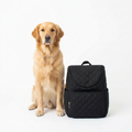 Mobile Dog Gear Weekender Backpack with dog