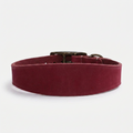 Timberwolf Whippet Collar Raspberry front view