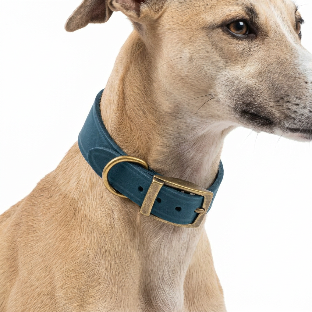 Timberwolf Whippet Collar Blue with dog