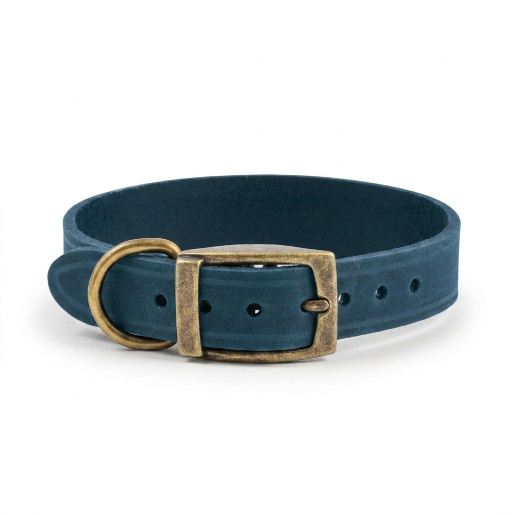 Timberwolf Whippet Collar Blue front view