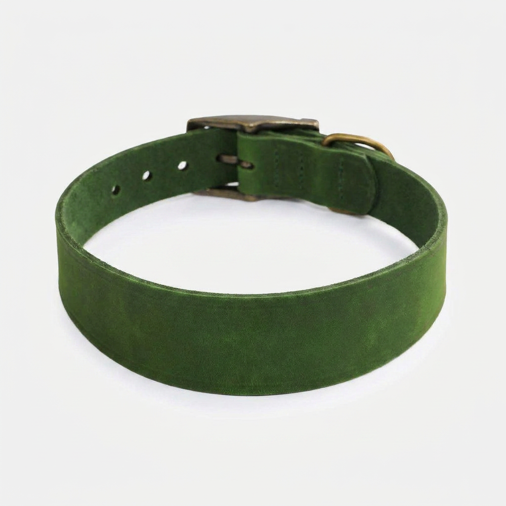 Timberwolf Whippet Collar Green top-down view