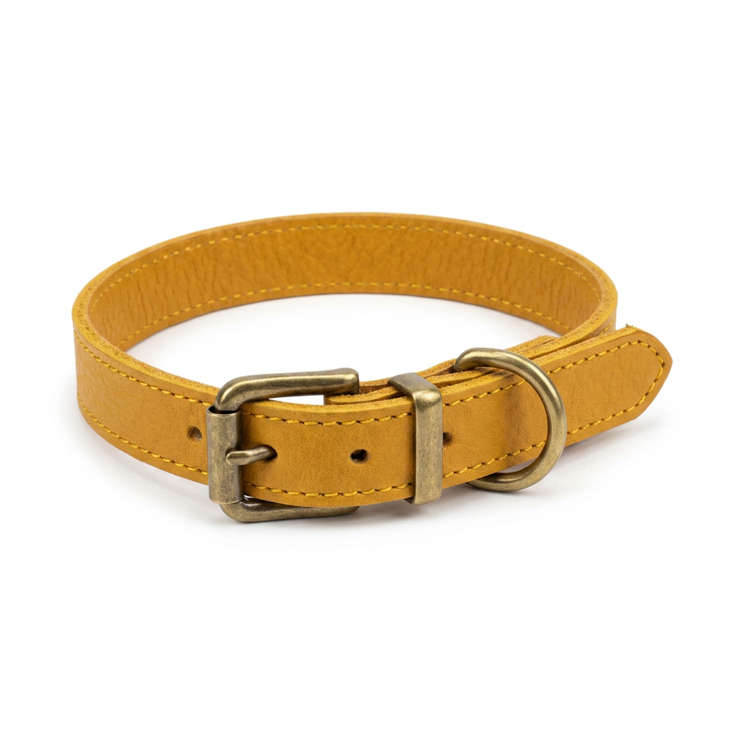 Timberwolf Leather Collar Mustard angled view