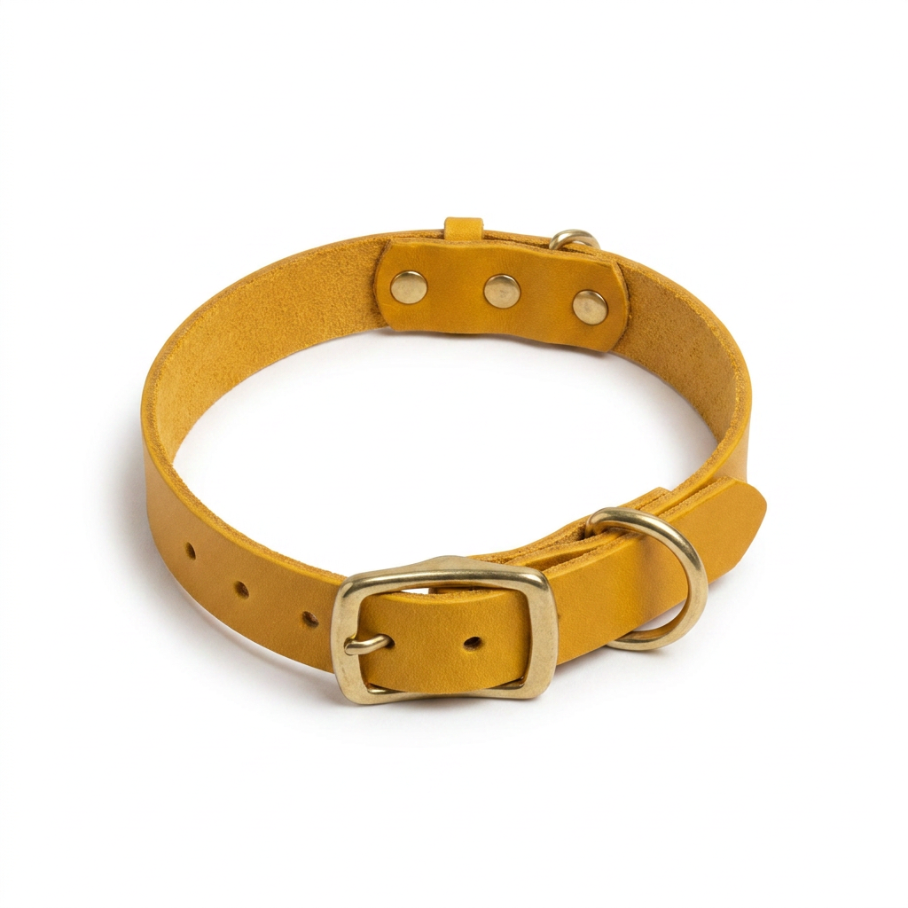 Timberwolf Leather Collar Mustard top-down view