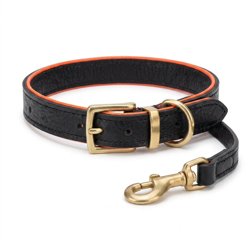 Ostrich Leather Collar Black front view