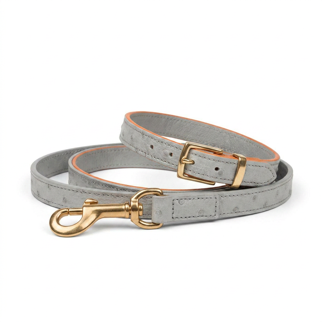 Ostrich Leather Collar Grey front view