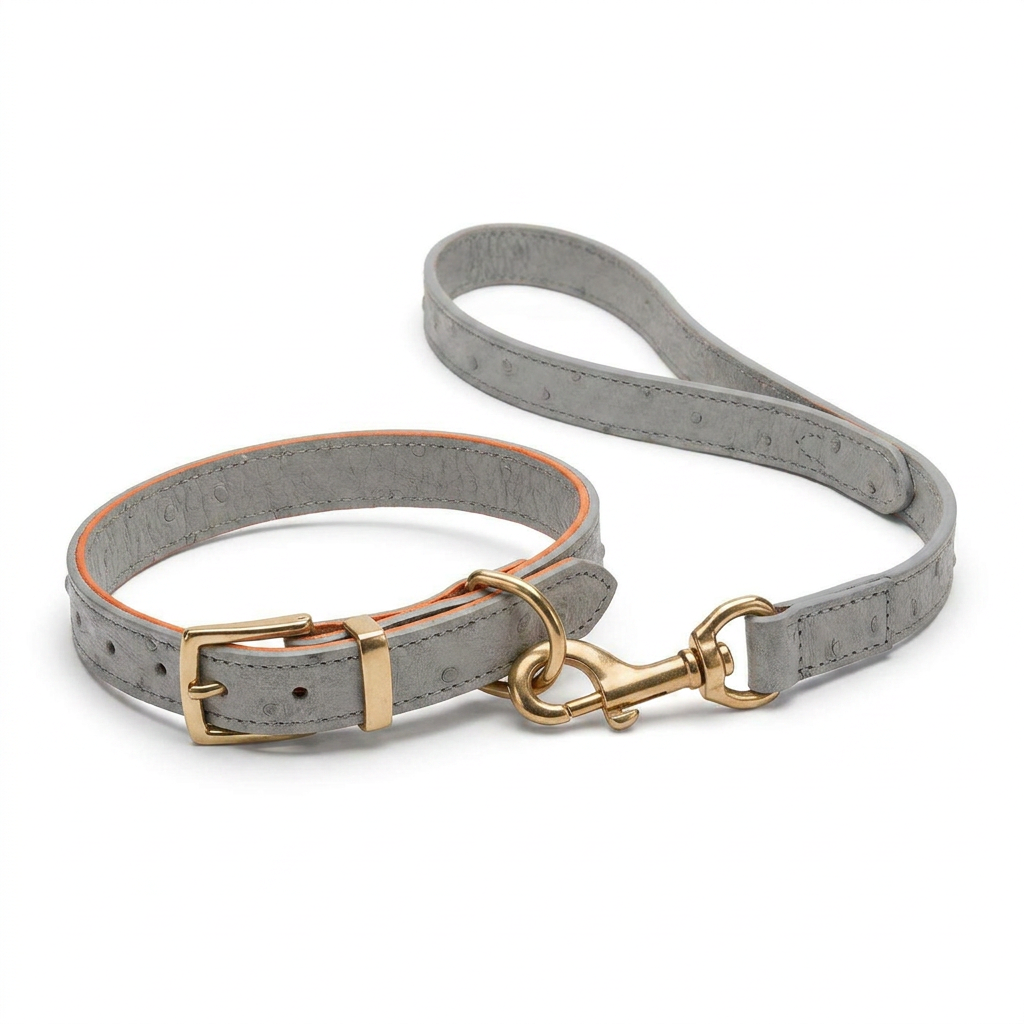 Ostrich Leather Collar Grey angled view