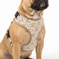 Cocopup Mocha Flower Harness with dog