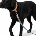 Essentials Twill Lead Slate with dog