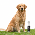 Aqueos First Aid Spray with dog