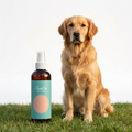 Charlie the Vet Spray with dog