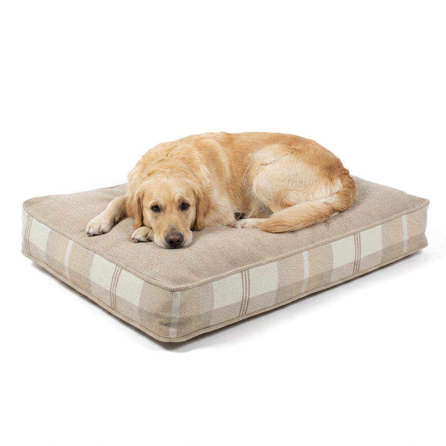 Dog Cushion Balmoral Natural Tweed with dog