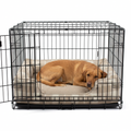 Dog Crate Bumper Balmoral Natural Tweed with dog