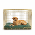Dog Cushion Emerald Minerals with dog