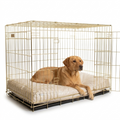 Dog Cushion Opal Minerals with dog