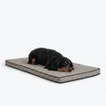 Roll and Go Travel Mat with dog