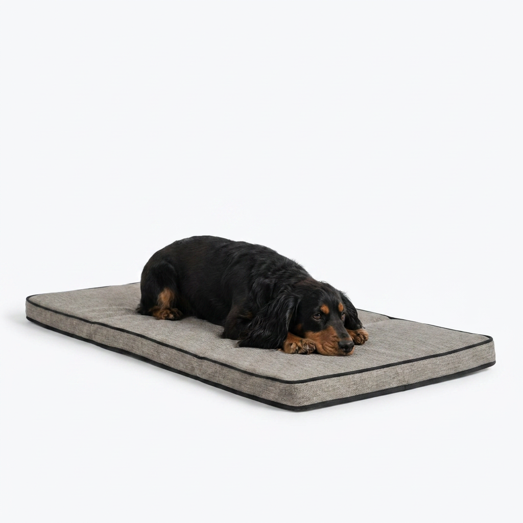 Roll and Go Travel Mat with dog