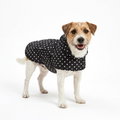 Dog Raincoat Black Polka Dot with dog