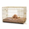 Dog Cushion Clay Velvet with dog