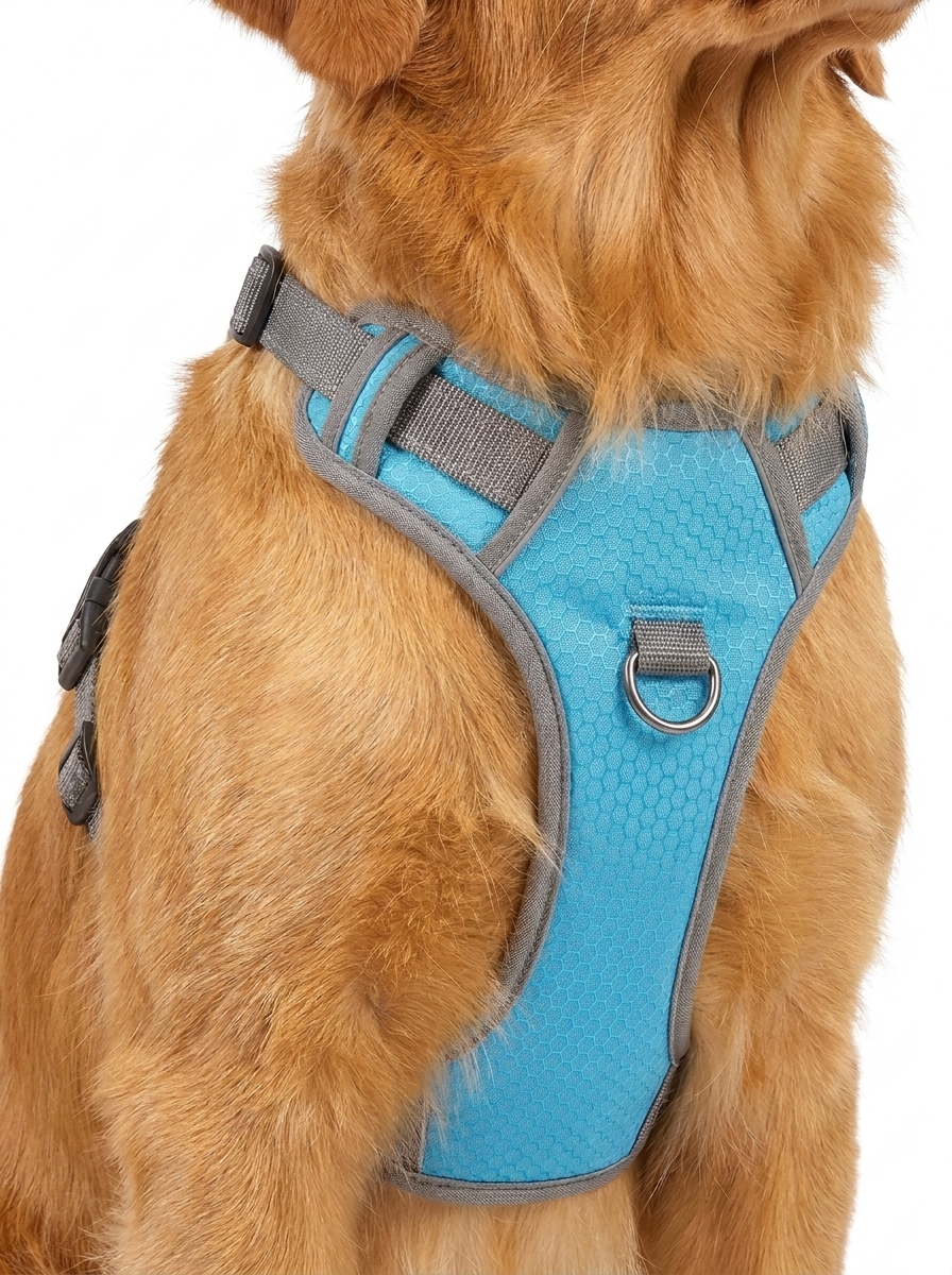 Vest Style Harness and Leash Set for Small Dogs and Cats Breathable Reflective