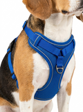 Harnais gilet réfléchissant en maille respirante pour petits chiens, chiots et chats