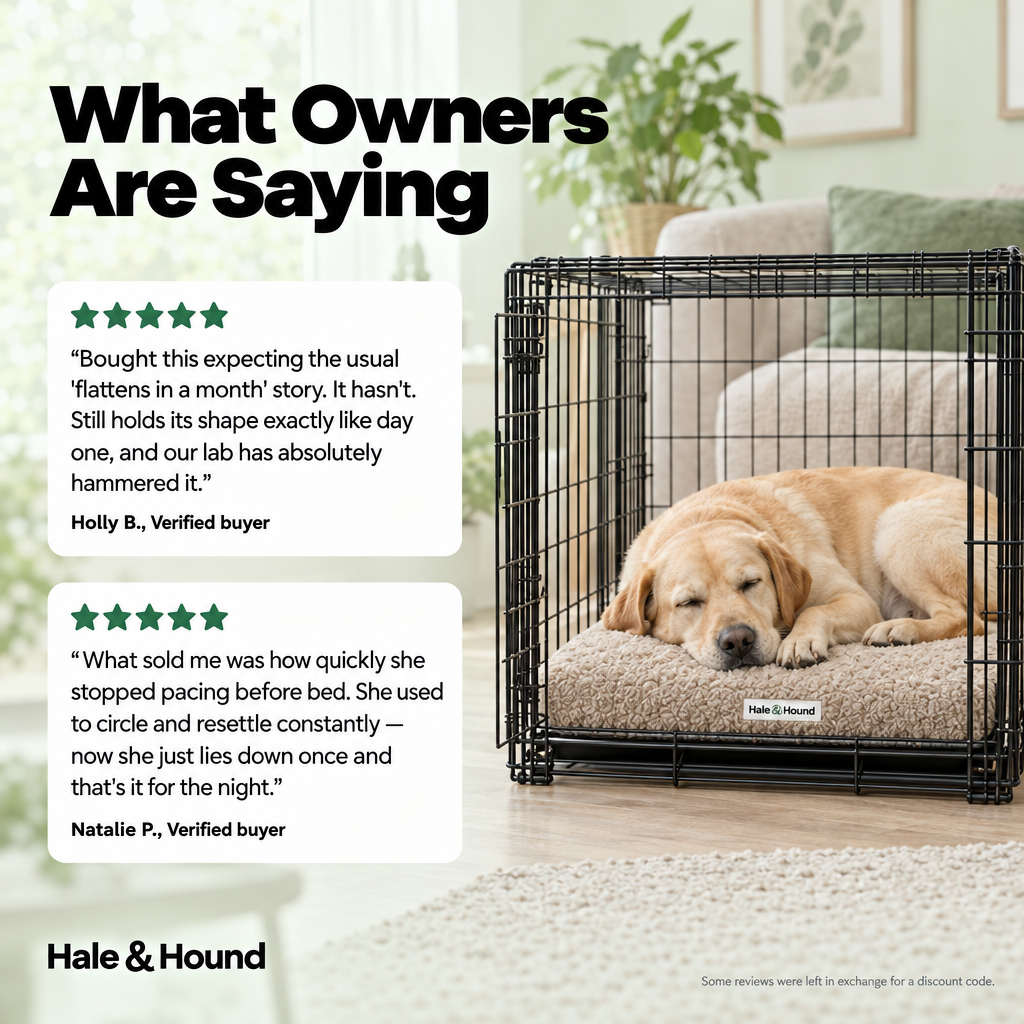 What owners are saying about CrateRest
