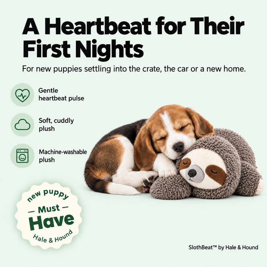 SlothBeat heartbeat sloth toy with a sleeping beagle puppy