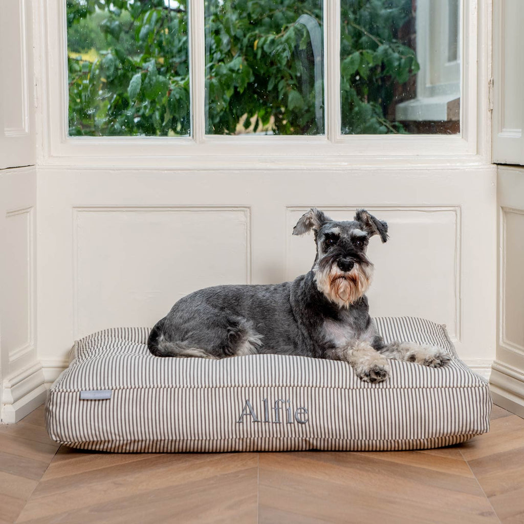 Coussin moelleux pour chien rayé Regency, lavable en machine, housse amovible
