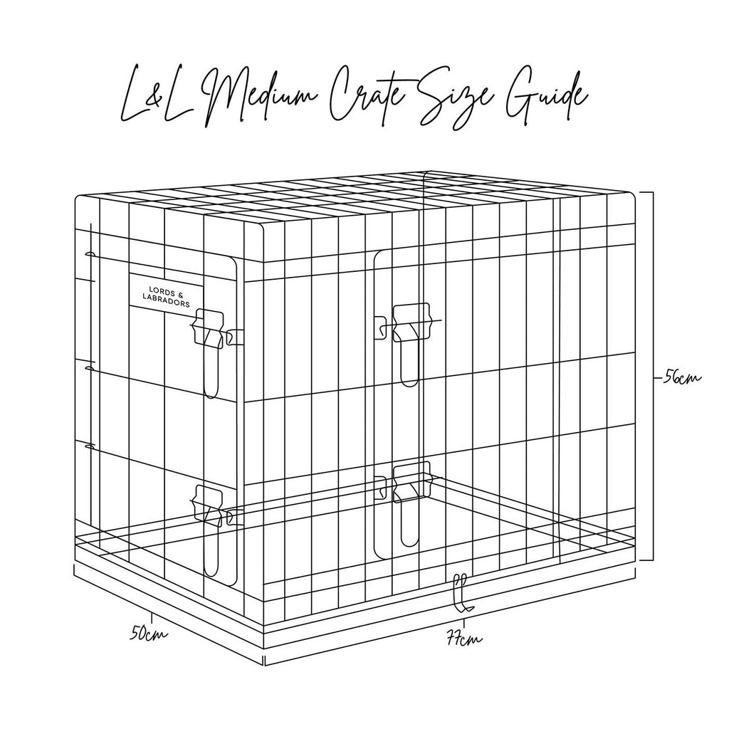 Cage de transport de luxe pour chien, usage intensif, argent, deux portes, pliable, tailles S à XXL