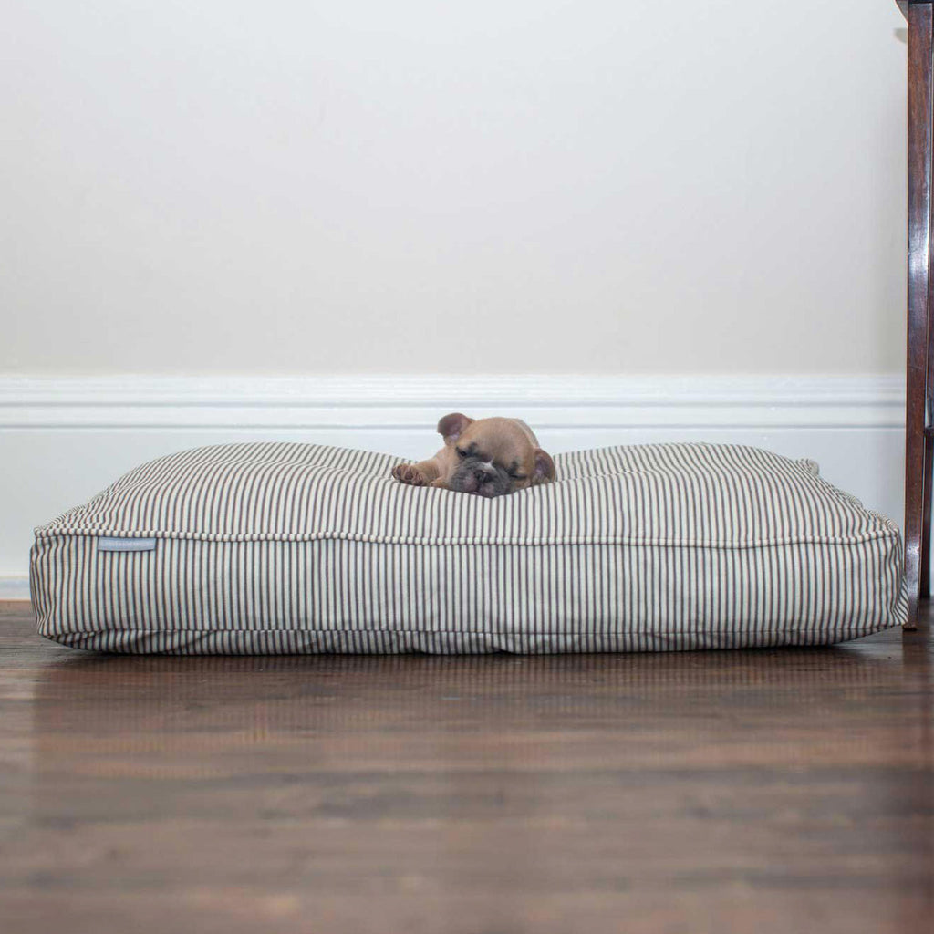 Coussin moelleux pour chien rayé Regency, lavable en machine, housse amovible